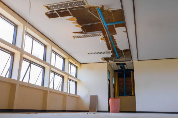 Best Basement water damage restoration  in Brookville, PA