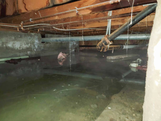 Best Water damage restoration near me  in Brookville, PA
