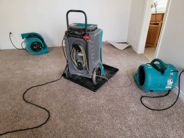 Best Water damage restoration experts  in Brookville, PA