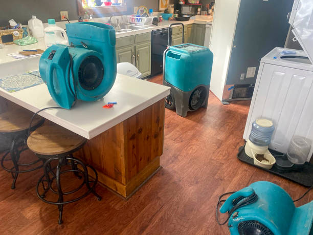 Best Professional water damage repair  in Brookville, PA