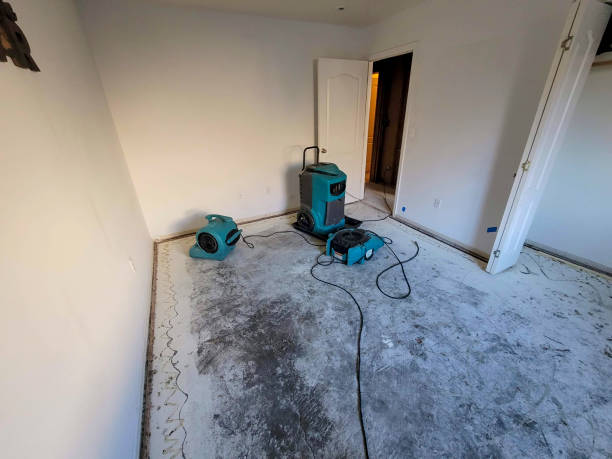 Best Fire Damage Restoration  in Brookville, PA