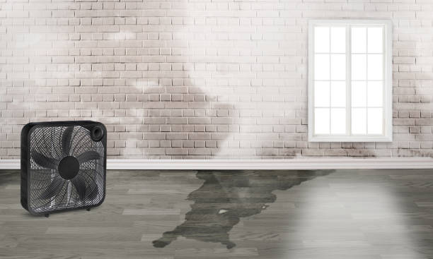 Best Commercial water damage restoration  in Brookville, PA