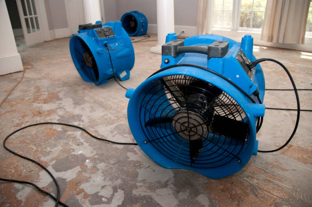 Best Commercial water damage restoration  in Brookville, PA