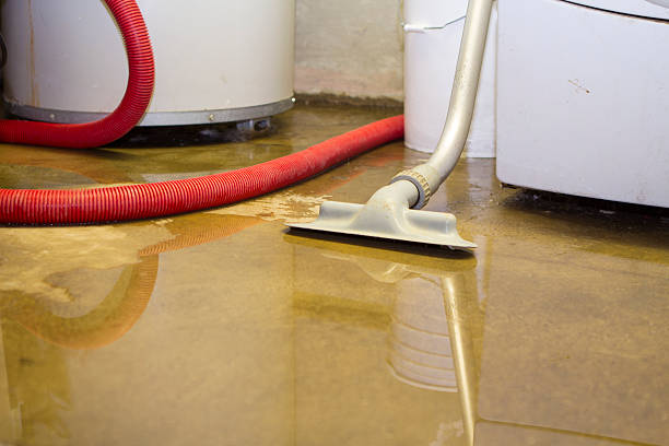 Best Residential water damage restoration  in Brookville, PA