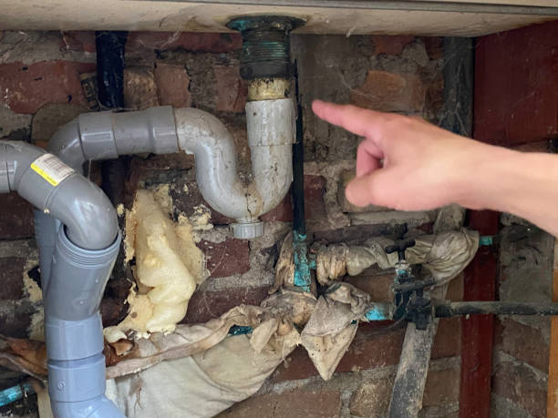 Best Water damage repair service  in Brookville, PA