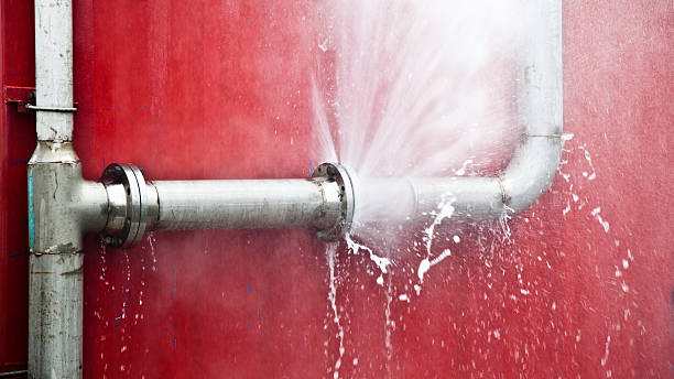 Best Water damage restoration services  in Brookville, PA