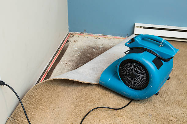 Best 24/7 water damage repair  in Brookville, PA